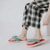 Halluci autumn and winter new soft watermelon flip-flops suede bottom mute indoor home slippers