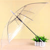 Korea transparent umbrella dance performance long handle umbrella fashion creative advertising umbrella spot supply