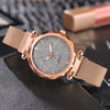 Rose Gold Women Watch 2021 Top Brand Luxury Magnetic Starry Sky Lady Wrist Watch Mesh Female Clock For Dropship relogio feminino