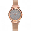 Rose Gold Women Watch 2021 Top Brand Luxury Magnetic Starry Sky Lady Wrist Watch Mesh Female Clock For Dropship relogio feminino