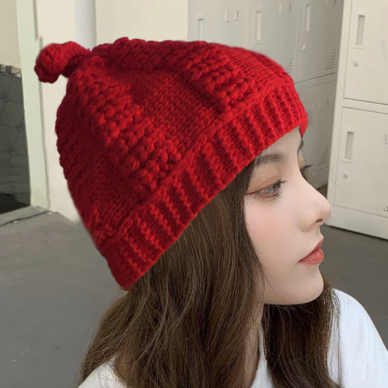 2021 autumn and winter new wool hat thick plus velvet pullover hats Korean students street trend ear knack hat